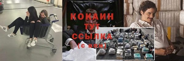 винт Алексин