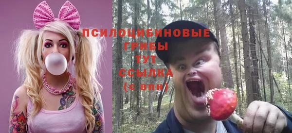 винт Алексин